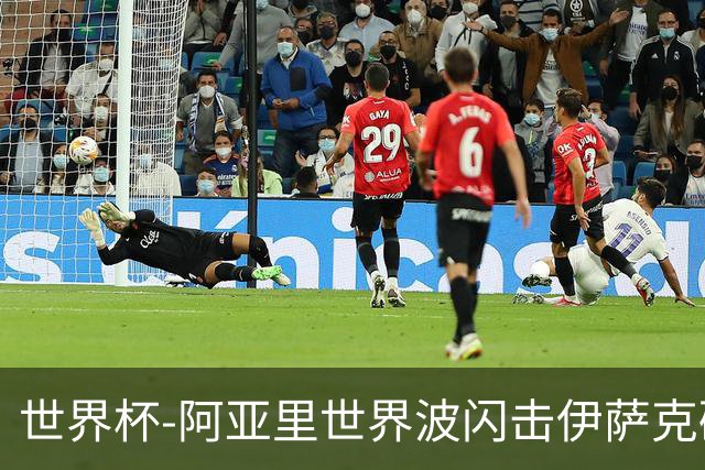 世界杯-阿亚里世界波闪击伊萨克破门 半场瑞典2-1突尼斯